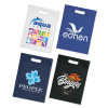 Gift Tote Bags Colours